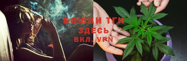 сатива Каменск-Шахтинский