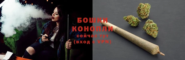 сатива Каменск-Шахтинский