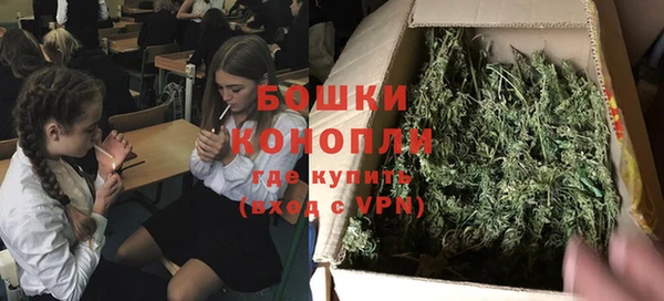 амф Каменка