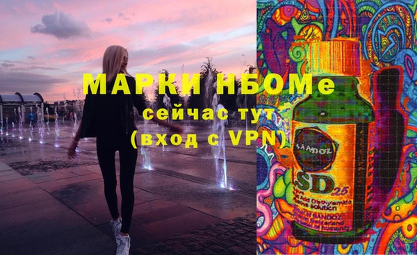амф Каменка