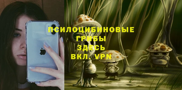 сатива Каменск-Шахтинский